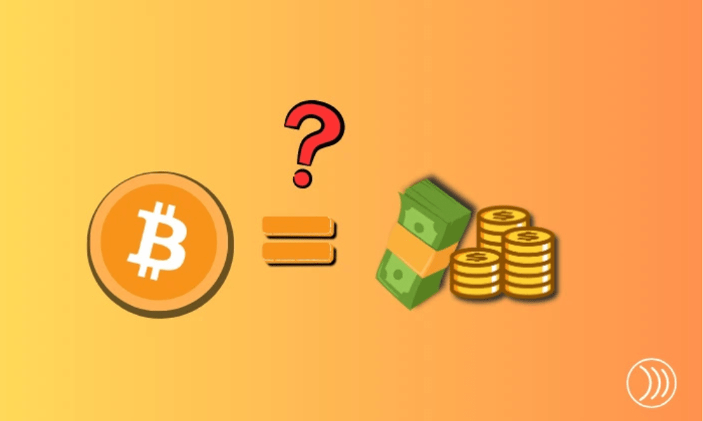 BTC une Monnaie