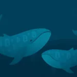 Deux baleines Bitcoin de 2011 déplacent 20 000 BTC après 14 ans d’inactivité