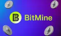 Ethereum : BitMine achète 45 M$ supplémentaires et affiche 1,9 Md$ de gains